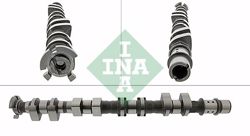 INA 428017810 | Eksantrik Mili Emme Astra J Insignia Mokka Cruze A16xer 09-